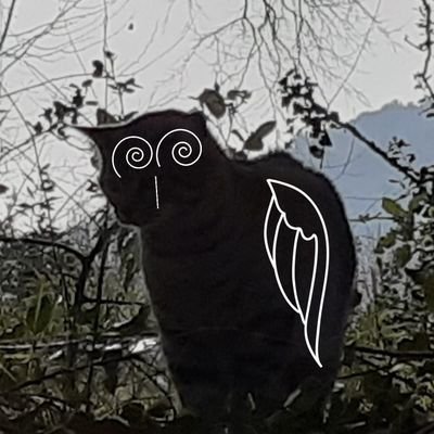 DorNozlan's profile picture. 