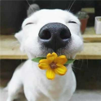 wenhuiwang88's profile picture. 