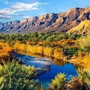 skid895483691's profile picture. ًً