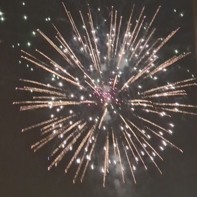 LambertA651110's profile picture. 