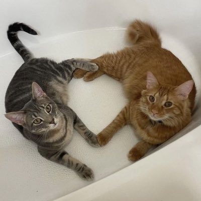 mint_kiii's profile picture. 🍓