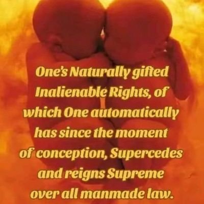 AlisonLawl97740's profile picture. 