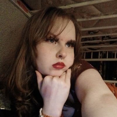 bongus498212's profile picture. 