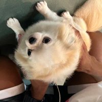 たっく (@googoo21761594) 's Twitter Profile