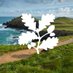 NorthCornwall NT (@northcornwallnt) Twitter profile photo NorthCornwall NT (@northcornwallnt) Twitter profile photo