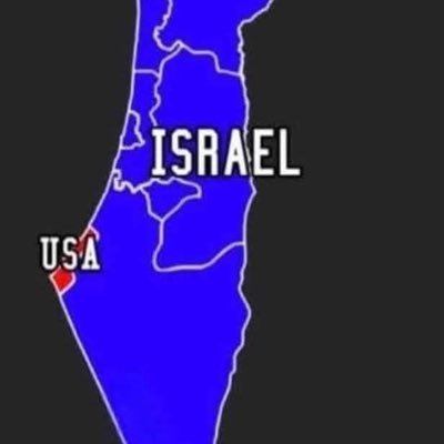 MadsHansen1515's profile picture. 