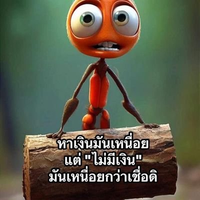 lin_lln28223's profile picture. 