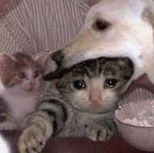 yum_xamxam's profile picture. 괴출, 어바등