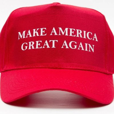 Exposing the dumbest, loudest and most unhinged MAGA cultists from the depths of social media. If they posted it, we are roasting it.