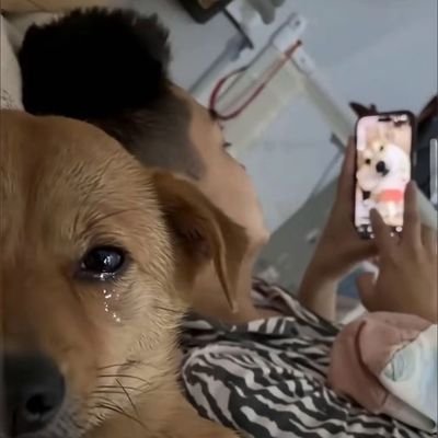 Missionaryface_'s profile picture. knew you'll check on my profile, now come inside.