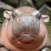 𝓢𝓣𝓡𝓐𝓝𝓖𝓔 (@omuenz1aeo52976) Twitter profile photo 𝓢𝓣𝓡𝓐𝓝𝓖𝓔 (@omuenz1aeo52976) Twitter profile photo