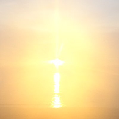 Hederian_xxl's profile picture. Hedera enthusiast.