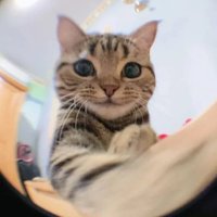 ぴよ (@happpp134) 's Twitter Profile