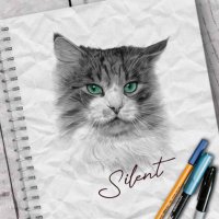 さいれんと【公式】 (@silent_0212) 's Twitter Profile