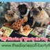 Barb A. Poole (@threepugmum) Twitter profile photo Barb A. Poole (@threepugmum) Twitter profile photo