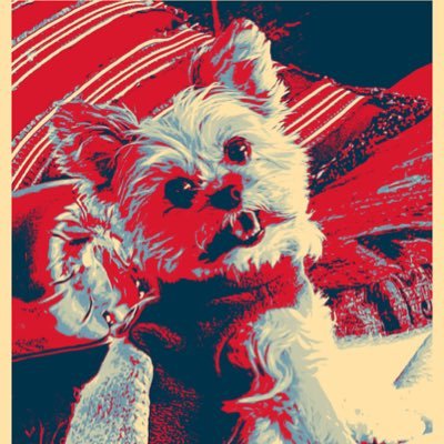 𝓛𝓸𝓿𝓮 is what makes things possible; erases divisions, heals wounds & unifies. Wolfie the MiKi is my guy #Constitutionalist #God first #Patriot Mail Project