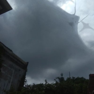 meteorologist