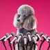 DogsNews (@dogsnewscoin) Twitter profile photo DogsNews (@dogsnewscoin) Twitter profile photo