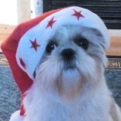 GesasiB45949's profile picture. 