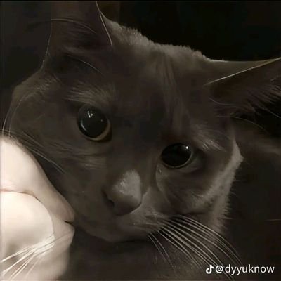 DDED756481's profile picture. 