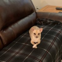 Kim Unruh (@kimunruh) 's Twitter Profile