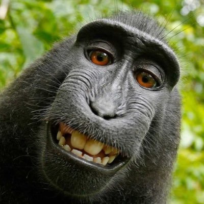 codefish200's profile picture. 