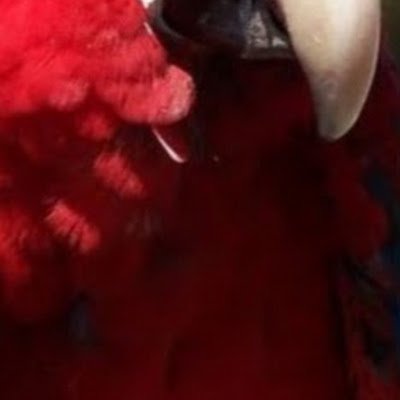 offical_visu's profile picture. 