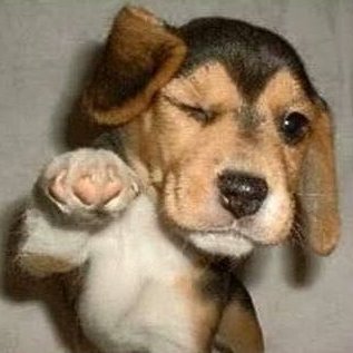 facundi_design's profile picture. noobie designer 🤓
adobe my beloved
arg - 19y
mail: quirogafacundo0808@gmail.com