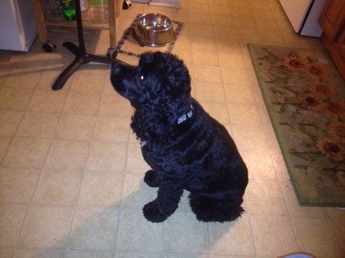 PopsMullenD's profile picture. Captain Branford Fire Department