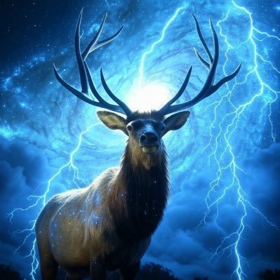 sboots15's profile picture. 