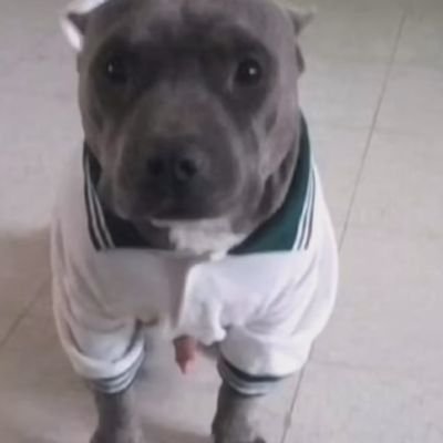 LOS QUE ME SIGAN LOS SIGO DE VUELTA, SI CUMPLO 👻
Cuenta de fútbol: @jokinho_f