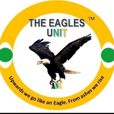 norain40038639's profile picture. 