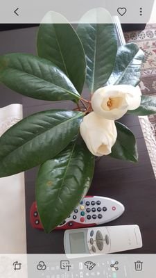 mehmetzeki3548's profile picture. 