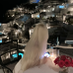 Sheylor (@sheylormyhopdu) Twitter profile photo Sheylor (@sheylormyhopdu) Twitter profile photo
