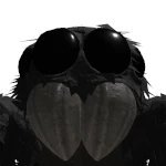 gabs_spider's profile picture. 