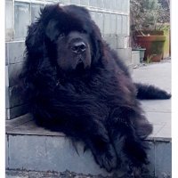 Nuria Casal (@brezo2015) 's Twitter Profile