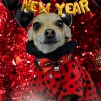 ponzhiito's profile picture. Joven con ideas radicales. Odio la intolerancia y las falacias. Venga mi Sinaloa y mi México.