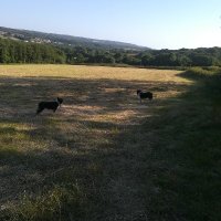 Huw Glynhir (@hglynhir) 's Twitter Profile