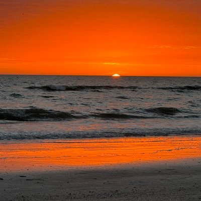 LogicCheck's profile picture. 