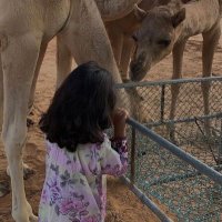 مريم محمد (@_p1oi) 's Twitter Profile
