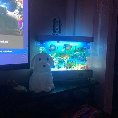welcomeevan's profile picture. 