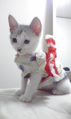 Borse_8's profile picture. 