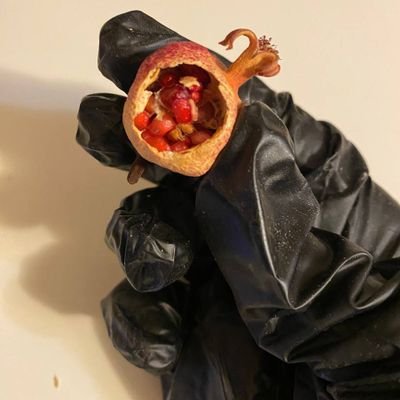 mirritka_russa's profile picture. Люблю Россию. Люблю Родину.Мы победим