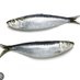 fishies (@x8xvr5ykmd1) Twitter profile photo fishies (@x8xvr5ykmd1) Twitter profile photo