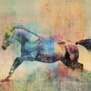 Dawn R - @DawnRock61 - Twitter