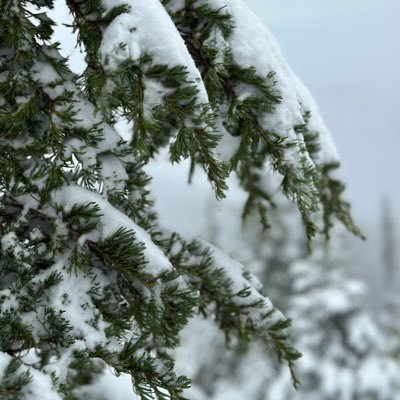 TZ1475526329812's profile picture. 