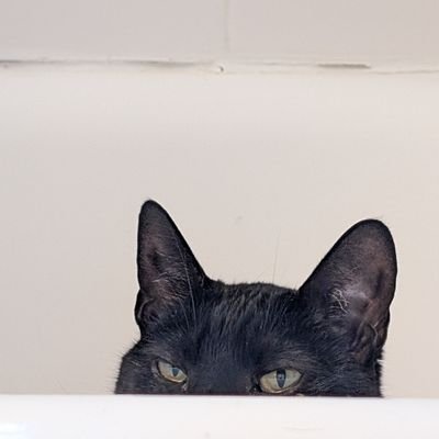 zeke_fetty's profile picture. 