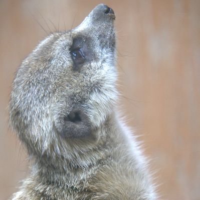 makitearoom's profile picture. エロ垢撲滅キャンペーン中✨
アイドルグループ　Miaoを応援しています🍑
隠れ内藤桃子推し
色々な意味での写真垢です✨
フォロワー500人目指してます🙇
無言フォローお赦しを(^_^)v