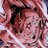 ActiveVolc's profile image