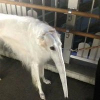 sudbath (@sudbath) 's Twitter Profile